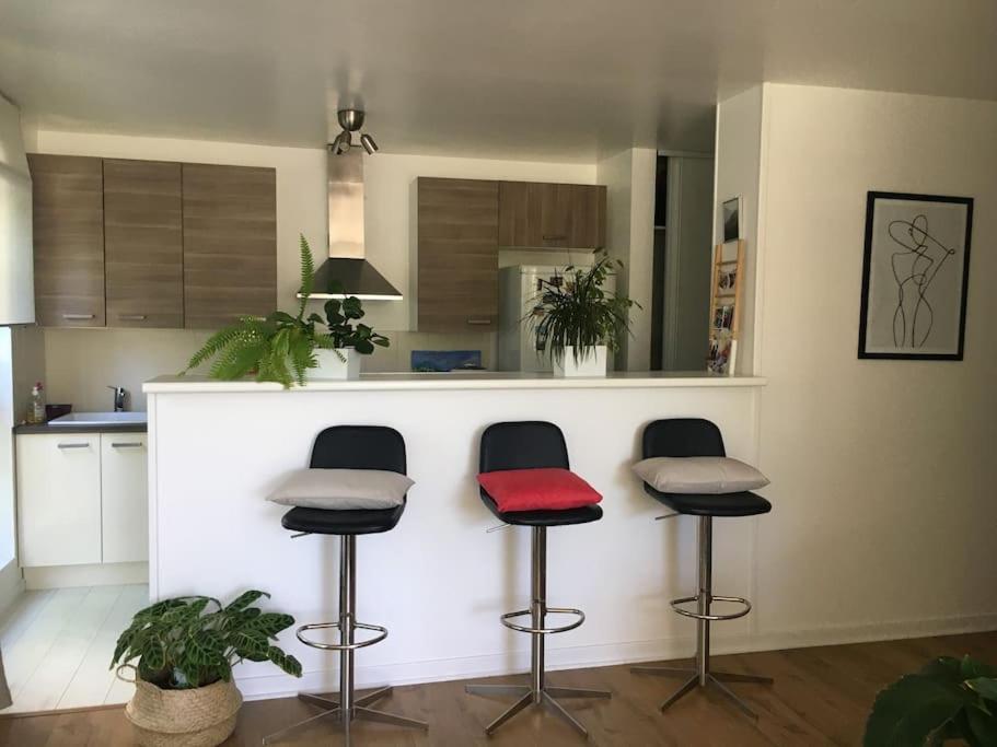Appartement 55 M2 Le Chesnay Le Chesnay  Esterno foto