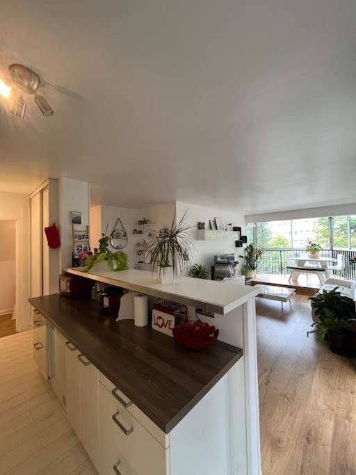 Appartement 55 M2 Le Chesnay Le Chesnay  Esterno foto